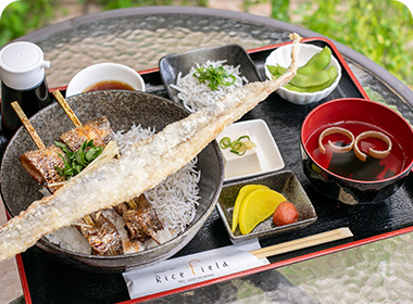 からあげ丼セット