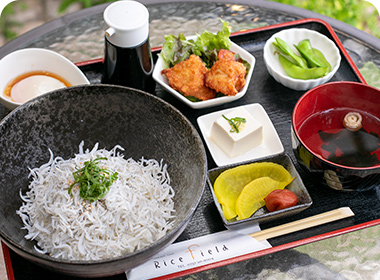 しらす丼セット